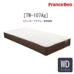 [Ch_u] tXxbh }bgX TW-107AGWD 24cm