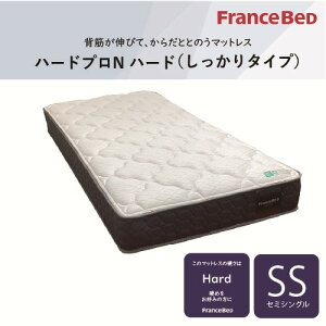 [Z~VO]tXxbh }bgX SSn[hvNn[h 24cm RۖhL h_j