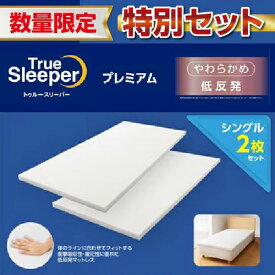 【在庫限り】ショップジャパン トゥルースリーパー プレミアム 2枚セットWS シングル WSTRSPX2