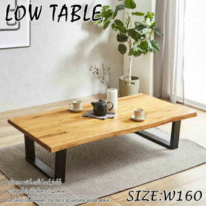 㓡ƋY I[N 160cm ꖇ i` VT-01-160-LOW