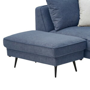 TRE Xc[ LYɋ rOă[\t@ nh lCr[ FAB 85cm ΂甄