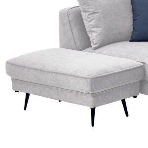 TRE Xc[ LYɋ rOă[\t@ nh AC{[ FAB 85cm ΂甄