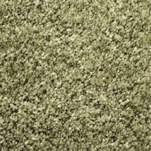 v[x ANZgO uWFChNv 190×240cm I[u