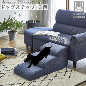 㓡ƋY hbOXebv 3i i ⏕ ɋ VjA q u[ DG-STEP-3-BL