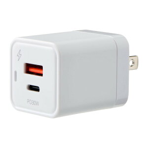 ELPA CHRSP30ACWH AC[d PD30WΉ USC-AAType-C|[g zCg