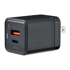 ELPA CHRSP30ACBK AC[d PD30WΉ USC-AAType-C|[g ubN