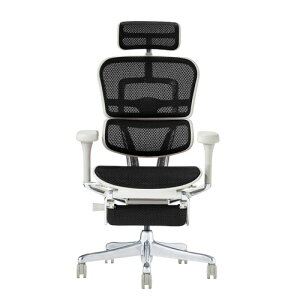 関家具 Ergohuman エルゴヒューマン 新基盤タイプ PRO2 Ottoman EHP2-LPL-DR-GF-BK グレーフレーム×ブラック 445401