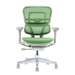 �։Ƌ� Ergohuman �G���S�q���[�}�� �V��Ճ^�C�v PRO2 Low EHP2-LAM-DR-GF-GN �O���[�t���[��×�O���[�� 445425