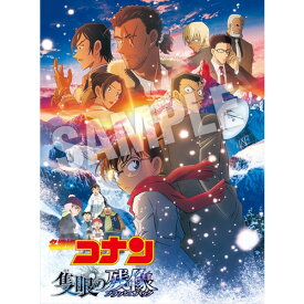 【先着予約購入特典付】【DVD】劇場版「名探偵コナン 隻眼の残像」(豪華盤)