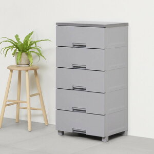 Vn Fits tBbc`FXg 5505 55cm 5i bNt X[YȈo [ ^X i O[