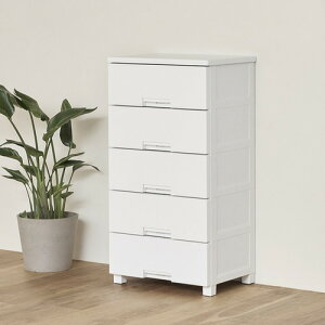 Vn Fits tBbc`FXg 5505 55cm 5i bNt X[YȈo [ ^X i zCg