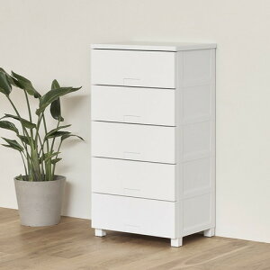 Vn Fits tBbc`FXg ttbg 5505 55cm 5i bNt X[YȈo [ ^X i zCg