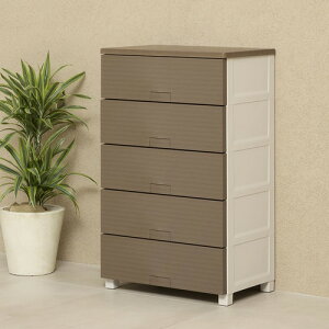 Vn Fits tBbc`FXg Ebh 6505 65cm 5i bNt X[YȈo [ ^X i uE