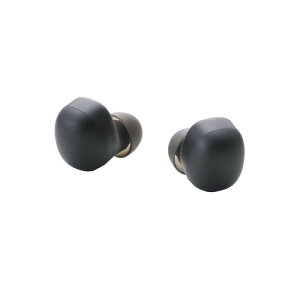GR LBT-TWS19BK CXCz Bluetooth 5.2 ^[dP[X Type-C ubN