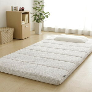 [VO]ACXI[}(IRIS) GA[~zc 7cm  ̈U ʋC O[ ASF-S