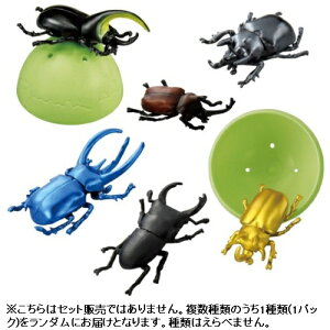 ^Jg~[ AjÂ܂ RNV ^3΁` cp