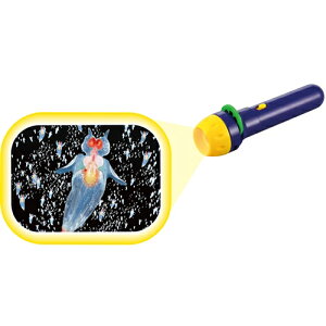 A[ebN ӂȐ[Ĉ̃vWFN^[ 21211