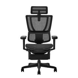 �։Ƌ� Ergohuman �G���S�q���[�}�� FIT2 Lite BF-BK �u���b�N�t���[��×�u���b�N 443306