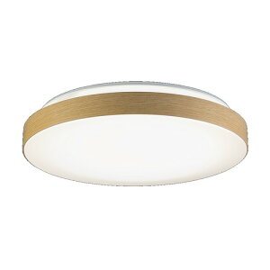 HotaluX HLDC12432SG LED�V�[�����O���C�g 12�� ���F 4,800lm �z�^���b�N�@�\���� ���񂽂񗯎�^�C�}�[