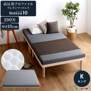 �z�[���e�C�X�g ORM-10K--GY �������v���t�@�C���E���^���yBeleza10-�x���[�U�E�e���[�z(�L���O) �O���[