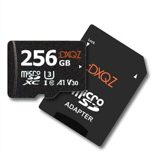 DXQZ DDMS256G02 256GB }CNSDJ[h SDϊA_v^t