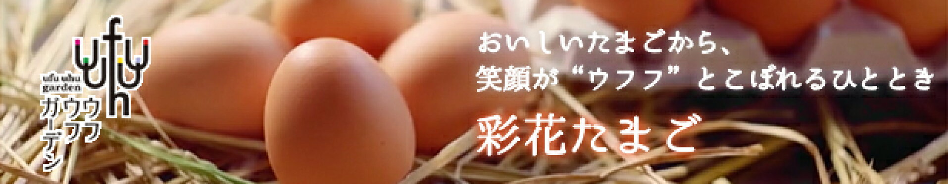 朝採り彩花たまご