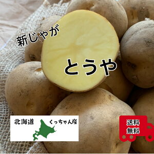 kCY@Ⴊ@VႪ@Ƃ②p@MLELELLTCY@5L10L20L@Ⴊ@RbP@tCh|eg@|egT_@Ⴊ@WKC
