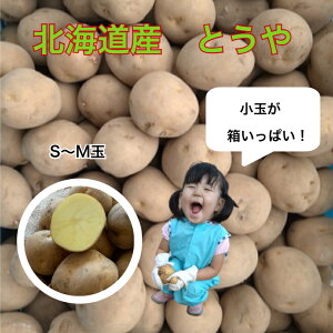 kCY@ႪƂ@S`MTCYi1R30g`100gj@5L10L20L@tCh|egARbPAς낪