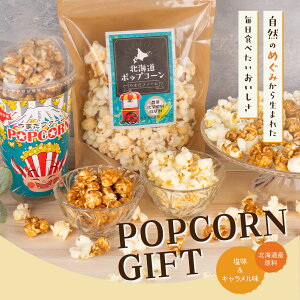 �|�b�v�R�[���M�t�g�Z�b�g