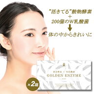 酵素ドリンク 酵素 乳酸菌 粉末 GOLDEN ENZYME ゴールデンエンザイム 2箱セット サプリメント サプリ 酵…