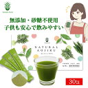 青汁 国産 粉末 ナチュラル青汁 【30包】 野菜不足・健康が気になる方に 飲みやすい 青汁 無添加 大麦若葉 よもぎ 抹茶 抹茶風味 国産青汁 【子供も飲みやすい】 やまだの青汁 1か月分 30包 【公式】 野菜不足 食物繊維 健康 美容 無糖 送料無料 SSS
