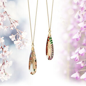 y{pB@ Rczy_gւ̃Mtgɂ WG[ NX^KX ANZT[ a LO NX}X