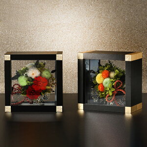 y΂ȉƌpB@RԖ×{pB@@Rczo[Vuły݂t[t[@iƂԂj×i炩j