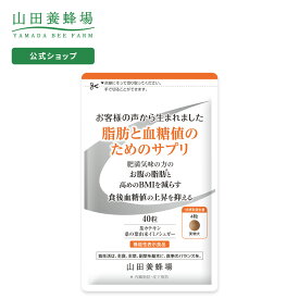 【山田養蜂場】脂肪と血糖値のためのサプリ＜40粒＞袋入 ギフト プレゼント サプリメント 機能性表示食品 健康 人気 健康 母の日