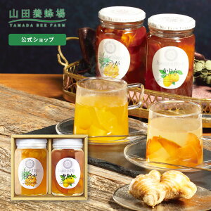 yRc{Iz~̌₩ʎЃZbg 1Zbgie450gj 傤݂͂ ݂͂ I I hN  N  lߍ킹 bsO bZ[WJ[h l 