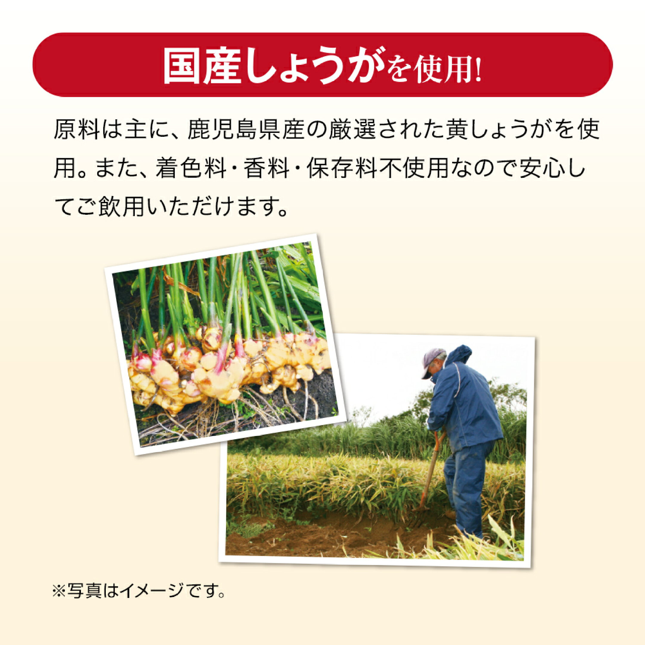 まるごと濃縮しょうが粒