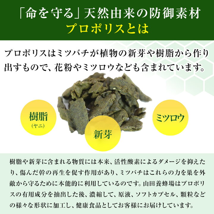 楽天市場】【山田養蜂場】【送料無料】 プロポリス300 100球入 