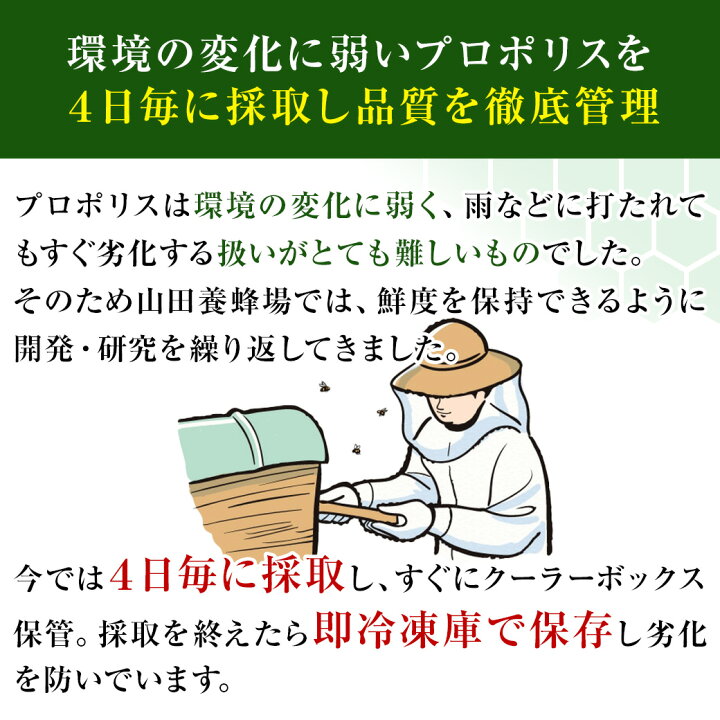 楽天市場】【山田養蜂場】【送料無料】プロポリス300 得用600球 