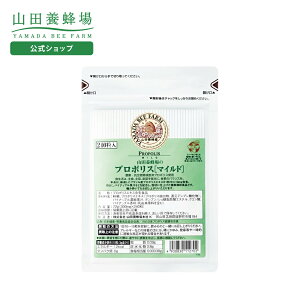 yRc{Izv|X}Ch l֗p(240) Mtg v[g NHi lC 50 60 70 80 N  Ε