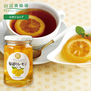 yRc{Iz ֐؂背݂͂ 420g ݂͂ ʎЂ XCX l[h XJbV sgp Hו Hi Nj    v  e 񂹃O Mtg 