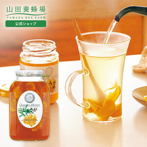 yRc{Iz 傤݂͂ 900g ݂͂ SԖI I VEK Y Hו Hi ݕ hN W[X WW[G[ N j    v  e 񂹃O 