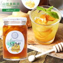 【4/15限定P10倍】【山田養蜂場】 しょうがはちみつ漬 450g はちみつ 百花蜂蜜 果実漬け 生姜 ショウガ ジンジャー 国産 食べ物 食品 飲み物 ドリンク ジュース ジンジャーエール 料理 隠し味 健康 父 母 夫 妻 両親 お取り寄せグルメ ギフト 贈答 誕生日 母の日