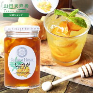 【山田養蜂場】しょうがはちみつ漬 450g 生姜 しょうが ショウガ 国産生姜 はちみつ 蜂蜜 ハチミツ 蜂蜜…