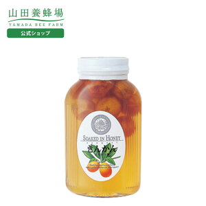 yRc{Iz񂩂݂͂ 900g Mtg v[g Hו Hi ݂͂ N lC N 񂹃O   LJ hV̓