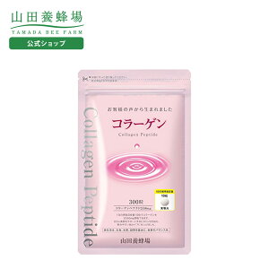 yRc{IzR[Q 1 i300j Mtg v[g NHi lC N Ε