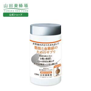 yRc{Izbƌl̂߂̃Tv120/{g Mtg v[g Tvg @\\Hi N lC N Ε