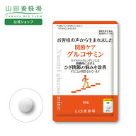 【山田養蜂場】関節ケア グルコサミン 90粒/袋入 機能性表示食品 膝 ひざ 関節 サプリメント コラーゲン …