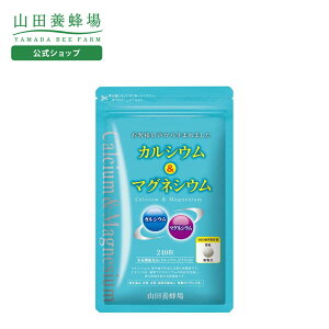 yRc{IzJVE}OlVE 240/ܓ Mtg v[g NHi lC N Ε