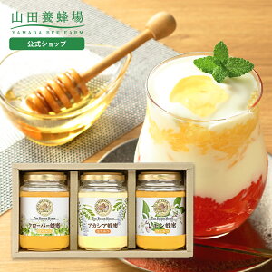 yRc{IzÊ݂͂3{ZbgAJVAI200gEN[o[I200gEI200g×e1{x OzT[g ݂͂ 񂹃O  bsO bZ