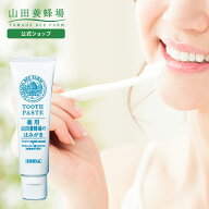 【山田養蜂場】【医薬部外品】薬用 山田養蜂場のはみがき ＜100g＞ ギフト プレゼント 人気 健康 母の日